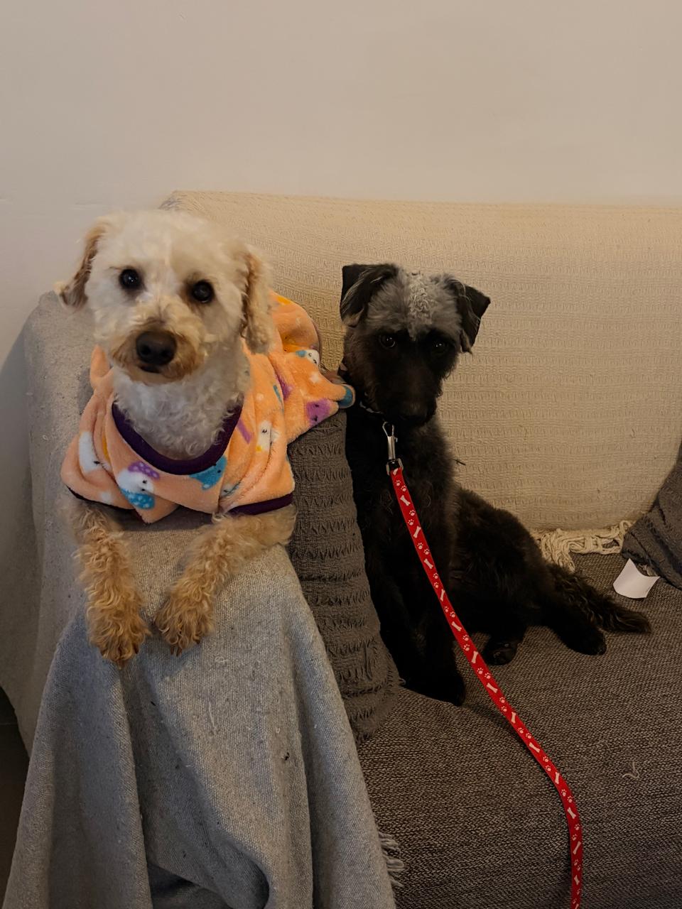 Blanquita y Morena